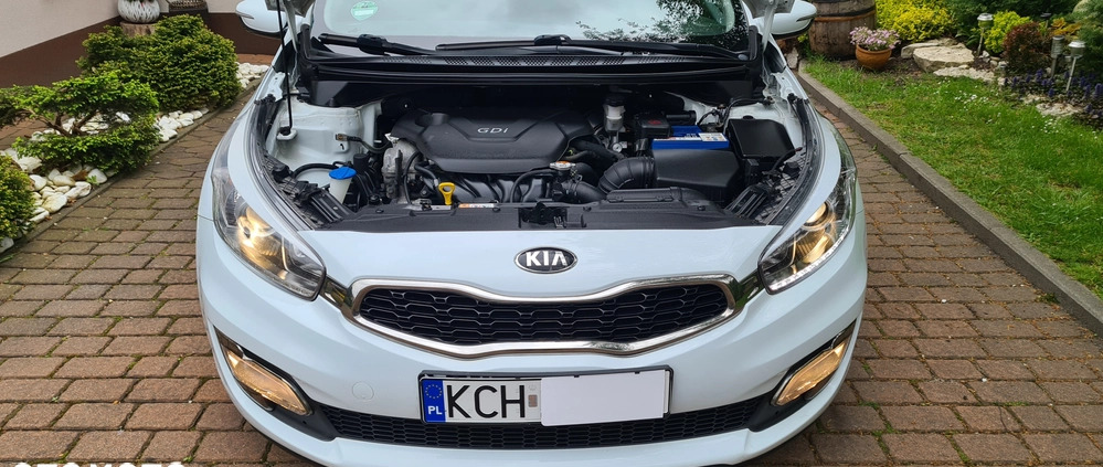 Kia Pro_cee'd cena 33900 przebieg: 190000, rok produkcji 2013 z Kietrz małe 781